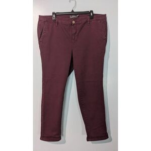 Torrid burgundy skinny jeans size 18